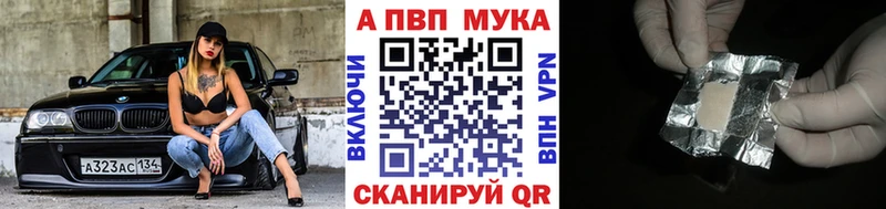 ссылка на мегу как войти  купить наркотики сайты  Кингисепп  Альфа ПВП СК 