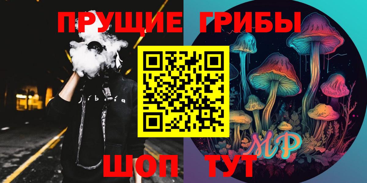 Кингисепп  Галлюциногенные грибы Psilocybe  Вход с VPN 